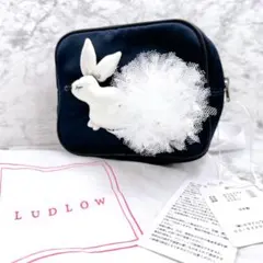 【美品】LUDLOW ラドロー うさぎモチーフティッシュケース付きポーチ 2026年最新】ludlow ポーチの人気アイテム - メルカリ