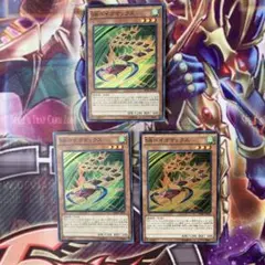 さいとう様 リクエスト 3点 まとめ商品