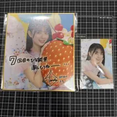 日向坂46 ひなこれ くじ C賞 ミニ色紙 参加賞 スマホサイズカード 平尾