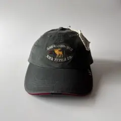デッドストック　アバクロ　キャップAbercrombie & Fitchのサムネイル