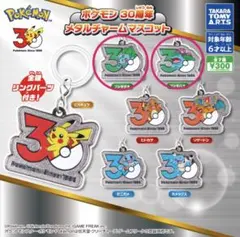 ポケモン30周年】 韓国限定「ポケモン メガフェスタ 2026」カラビナ