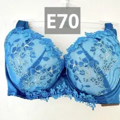 【新品⭐︎未使用】Wing Lesiage レシアージュ　ブラ E70のサムネイル