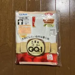 GUNZE GQ-1 半袖U首 M 2枚組