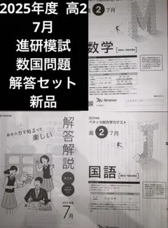最新版 2025年7月 ベネッセ総合学力テスト 進研模試 高2解答解説 新品