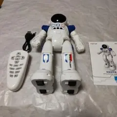 Item thumbnail for item 194c31cc-9125-4343-8158-ad47a56c5eda