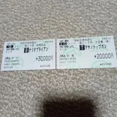 1995年有馬記念ナリタブライアン 1996年天皇賞春マヤノトップガン 外れ馬券のサムネイル