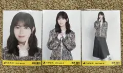 乃木坂46 生写真 岩本蓮加 大阪ver.コーデ コンプ - メルカリ