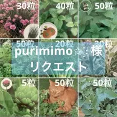 purimimo✩︎⡱様 リクエスト 2点 まとめ商品