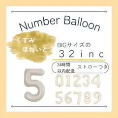 Item thumbnail for item 1ef194d8-9491-4883-bc2b-a887854b44c7