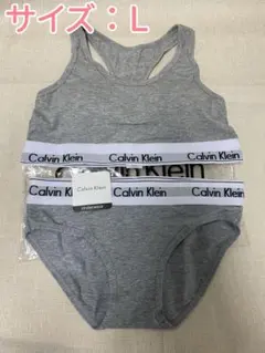 Calvin Klein グレー ブラ＆ショーツセット Lサイズ②