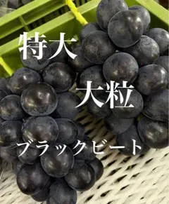 E山梨県産 ブラックビート 秀品2kg箱 - メルカリ