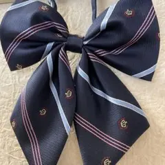 Item thumbnail for item c52c8608-e79a-4db2-a048-eb12f4636ab2