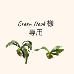 Green Nook様 リクエスト 2点 まとめ商品