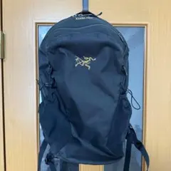 希少/廃盤】ARC'TERYX Mistral 16 メッセンジャー - メルカリ