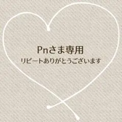 Ｐn様 リクエスト 3点 まとめ商品