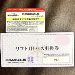 斑尾高原スキー場の1日リフト券引換券、2枚セット 斑尾(マダラオ）全山共通1日スキーリフト券「 マウンテンパス