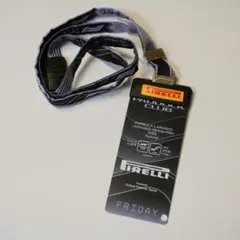 ランド・ノリス セルジオ・ペレス 直筆サイン 2019年 F1 日本GP 額装品