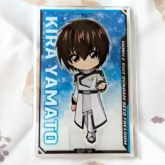 【☆ぴよこ☆様専用】ガンダムSEEDFREEDOM キラ＆ラクス おまとめ品