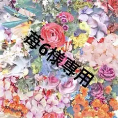 未開封品　クレドポーボーテ　タンクッションルミヌ　オークル10