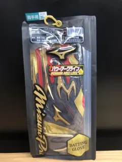 超高級品！ミズノプロ 限定モデル バッティンググローブ 26cm