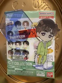 SEVENTEEN セブチ Petiteen アクスタ バーノン