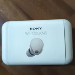 Item thumbnail for item 784e988b-e041-4861-84b1-deb2e6651b44