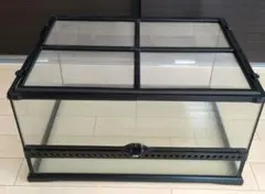 2026年最新】エキゾテラ ケージの人気アイテム - メルカリ