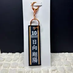 ハイキュー!! タイトーくじ フライトタグ 日向翔陽賞