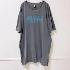 オルタナティブ Tシャツ ロゴ柄 ビッグサイズ XL 灰色 コットン 普段着のサムネイル