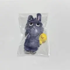 ウォンビン Midnight Mirage トニャンドク ぬいキーホルダー タグ付き RIIZE ウォンビン ぬいぐるみキーホルダー トニャンドク