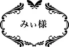 ＊みぃ様専用ページ＊