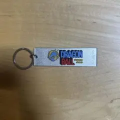 Item thumbnail for item cef6fc03-1ec9-4c36-8b5c-5f4f9363f443