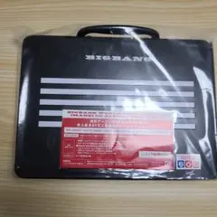 BIGBANG WORLD TOUR 2015～2016[MADE]初回生産限定