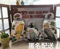 リメイク缶　セキセイインコ＆オカメインコ柄　3個　おまけ多肉