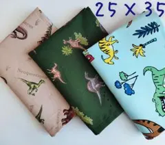 ランチョンマット25×35男の子 3枚セット 恐竜 ダイナソー ランチマット