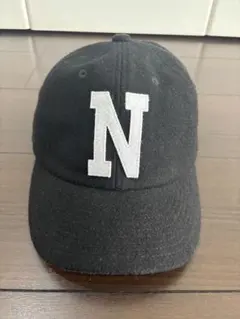 THE NORTH FACE TNFロゴキャップ