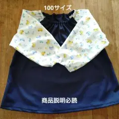 Item thumbnail for item 7f6689f0-1aba-4ec2-a0e0-e417a302bf82