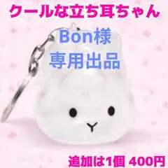 ◆即購入OK◆うさぎの毛玉入れ キーホルダー ꪔ̤̥ウサギ 毛入れ