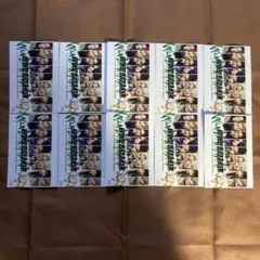 映画「WIND BREAKER／ウィンドブレイカー」 ポストカード 10枚