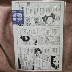 ワンピース フルカラーアートボード ジャンプショップ ナミ ロビン お