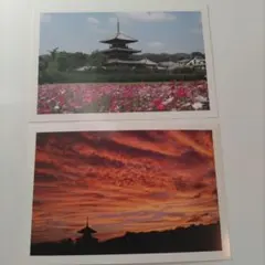 Item thumbnail for item 5128555c-c947-4bb2-b222-42676f7f124c