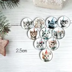 2.5cm カボション 10個