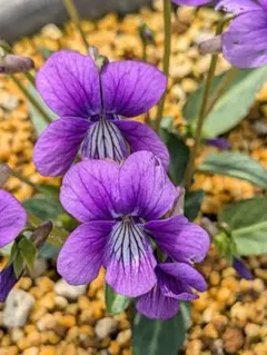 あおっち様 リクエスト 3点 まとめ商品