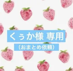 くぅか様 リクエスト 4点 まとめ商品【600円割引☺︎】