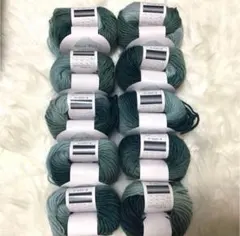 オーロラウール　Aurora Wool 25g 10玉　毛糸　No.11 11番