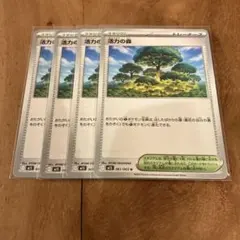 ポケモンカード　活力の森　４枚セット