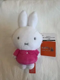 Item thumbnail for item 6cf4cb2e-d776-44ad-9bc1-0e196bfd8a5f