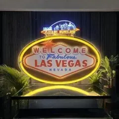 【ネオン祭り】注目❕最安値です、ラスベガス LEDネオンサイン管