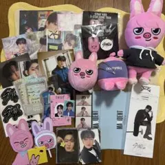 straykids ストレイキッズ スキズ チャンビン SKZOO トゥエッキ