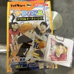 アクリミニ　ハイキュー　孤爪研磨